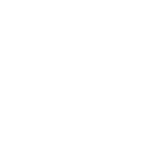 Cemu Logo